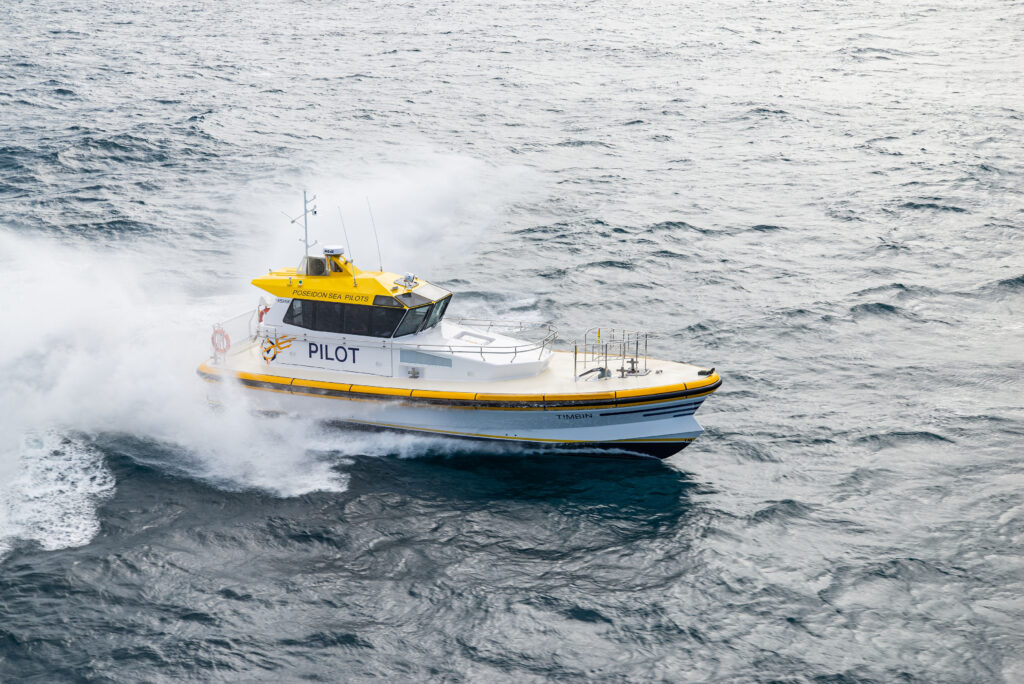 High-Speed Offshore Pilot Boat — image 15